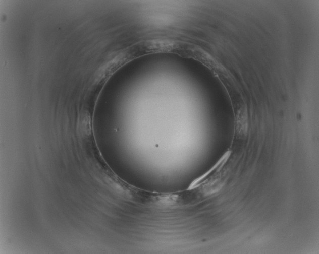 X0000073870474200608171012