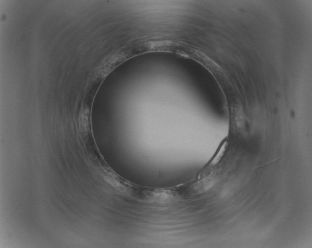 X0000073870475200608171012