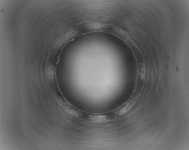 X0000073870476200608171012