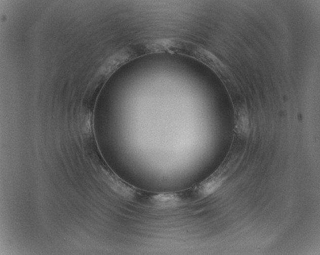 X0000073870477200608171012