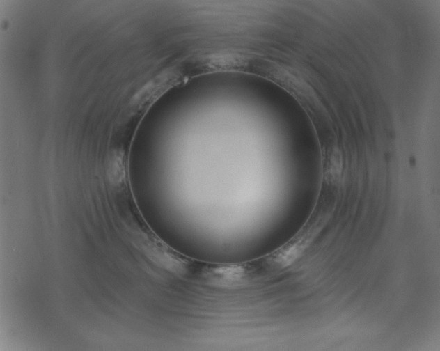 X0000073870478200608171012