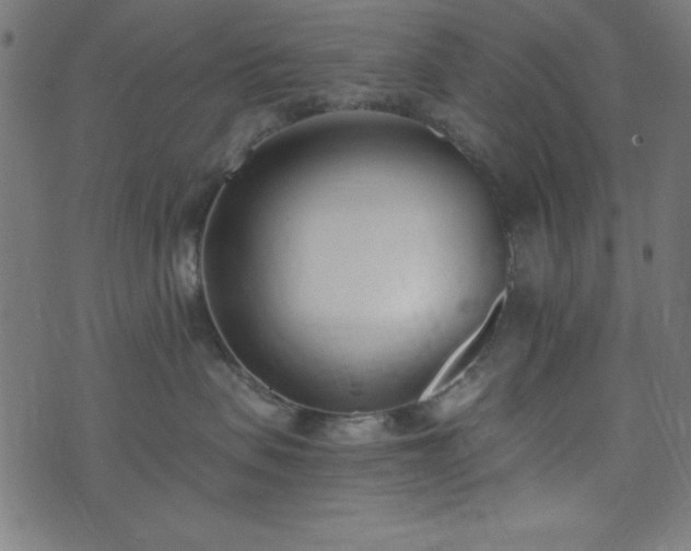 X0000073870479200608171012