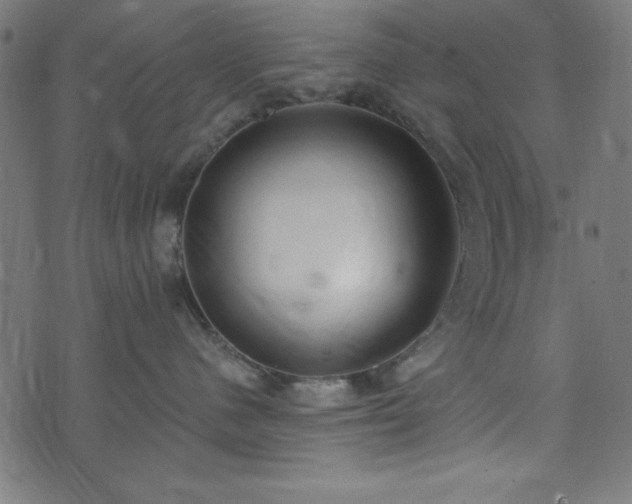 X0000073870480200608171012