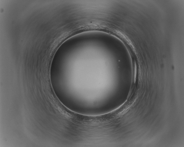 X0000073870481200608171011