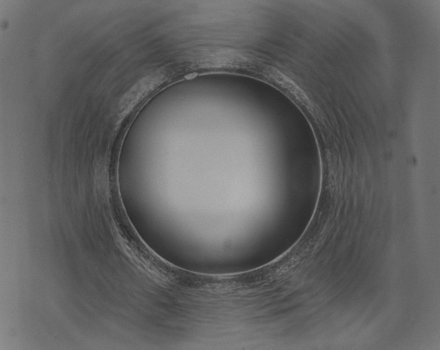 X0000073870482200608171011