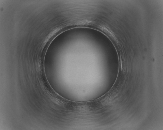 X0000073870483200608171011