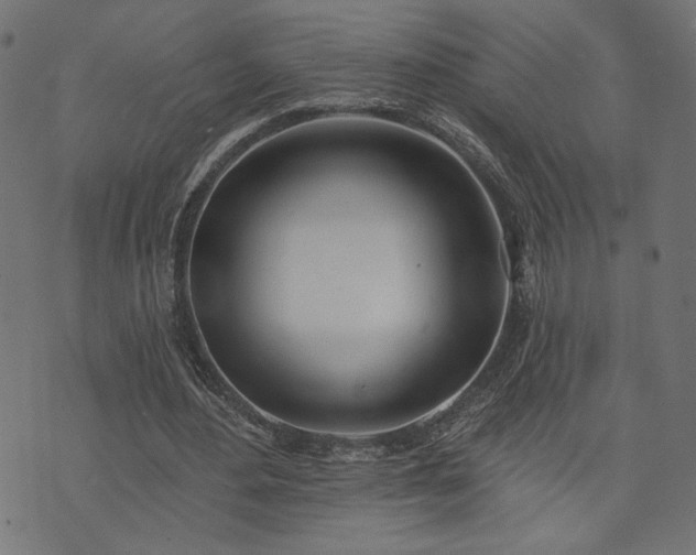 X0000073870484200608171011