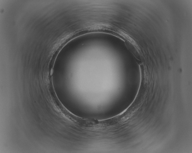 X0000073870485200608171011