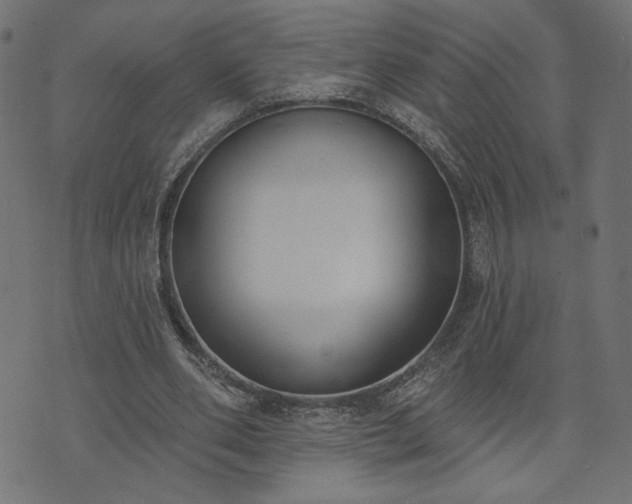 X0000073870486200608171011