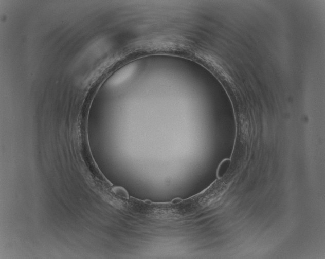 X0000073870487200608171011