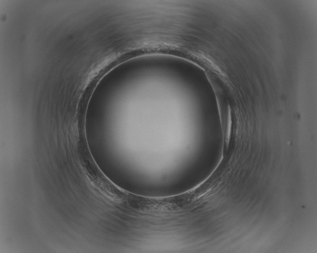 X0000073870488200608171011