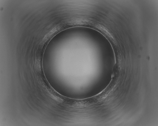 X0000073870489200608171011