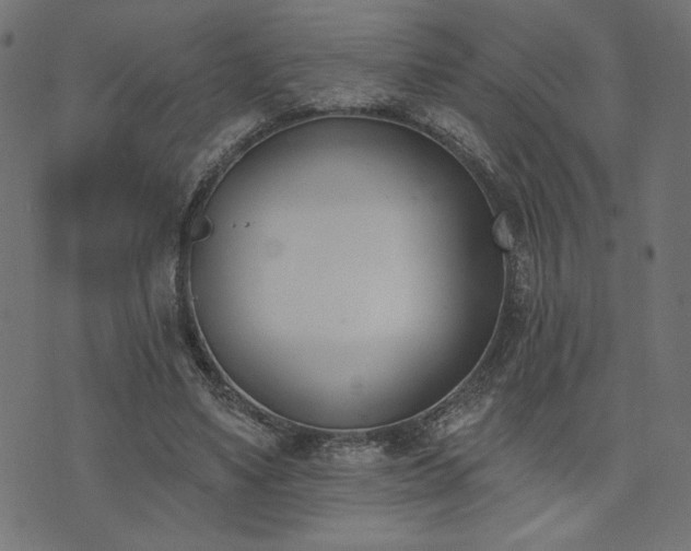 X0000073870491200608171011