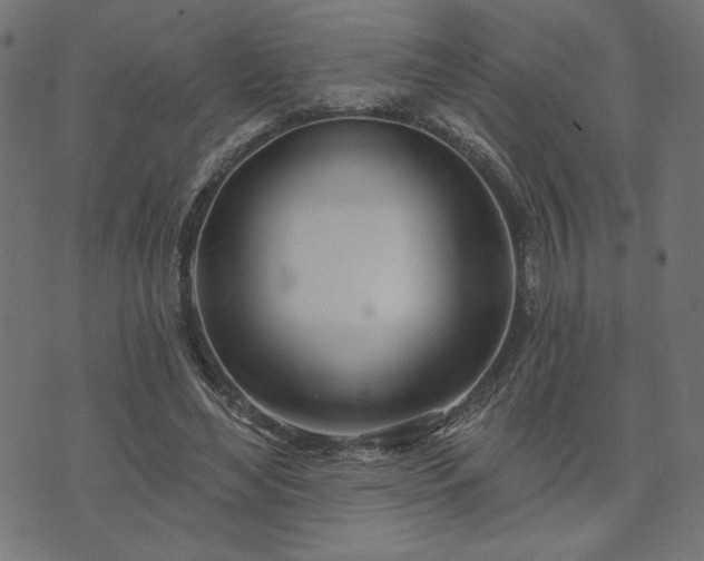 X0000073870492200608171011