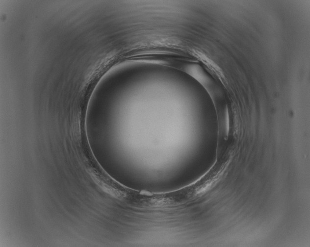 X0000073870493200608171011