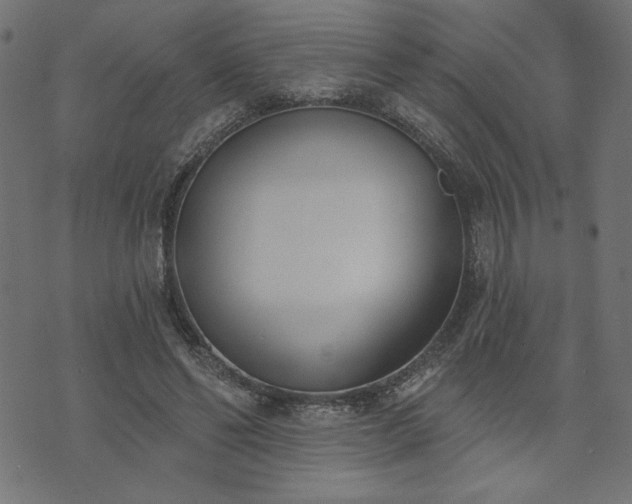 X0000073870494200608171011