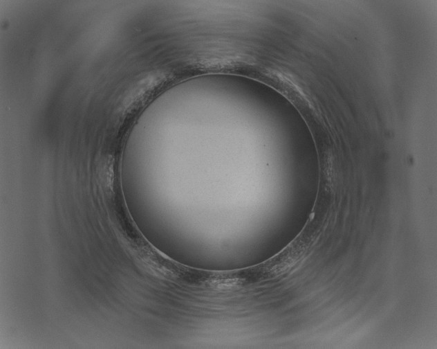 X0000073870495200608171011