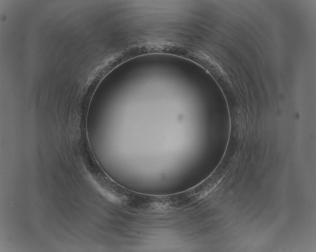 X0000073870496200608171011