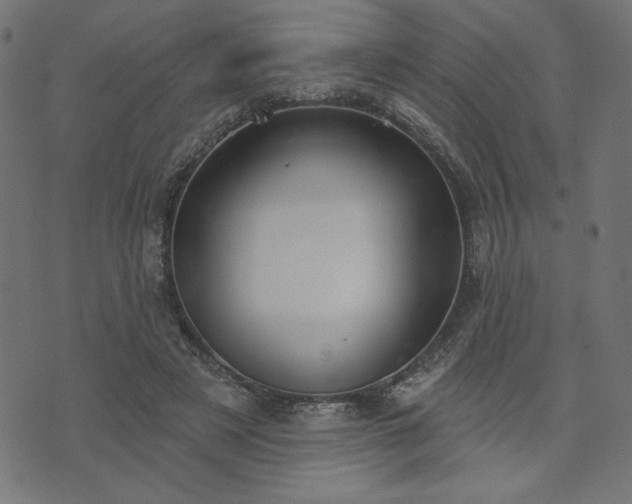 X0000073870497200608171011