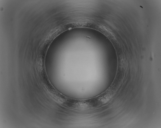 X0000073870498200608171011