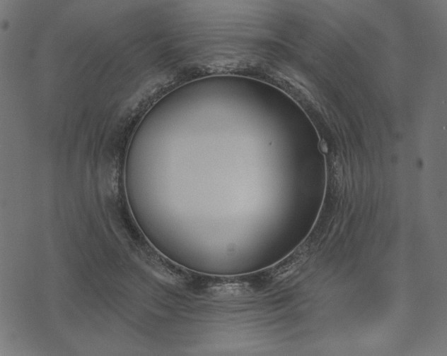 X0000073870499200608171011