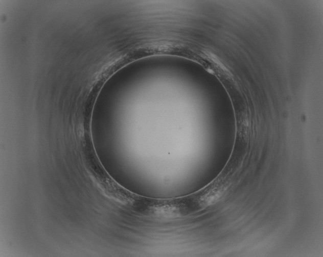 X0000073870500200608171011