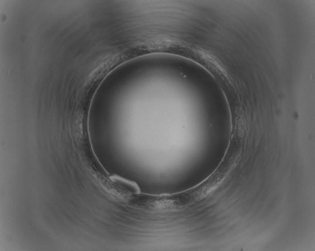 X0000073870501200608171011