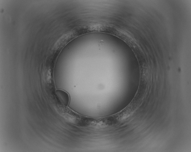 X0000073870502200608171011