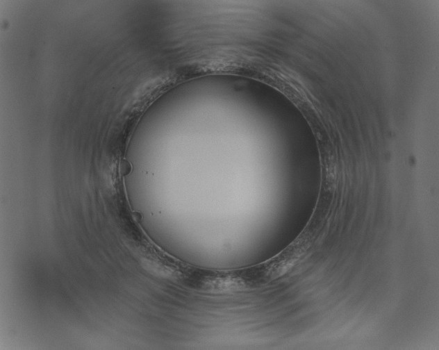 X0000073870503200608171011