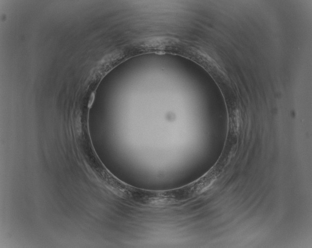 X0000073870504200608171011