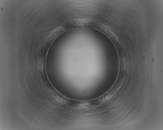 X0000073870505200608171011