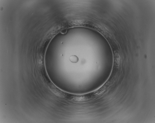 X0000073870507200608171011