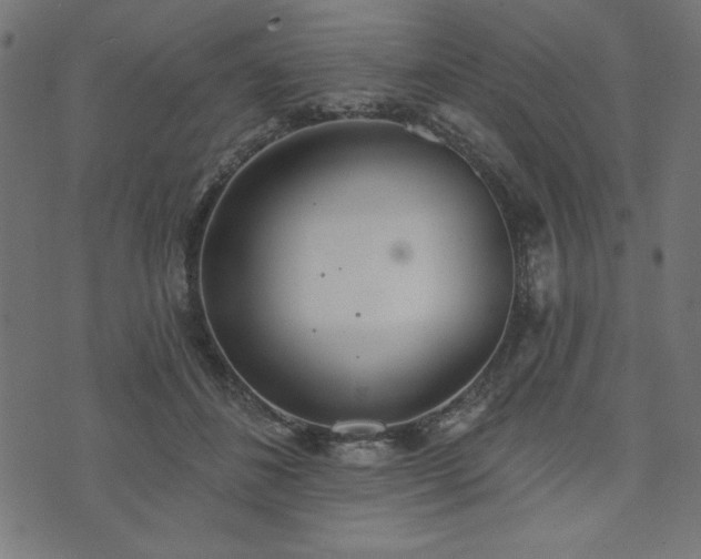 X0000073870508200608171011