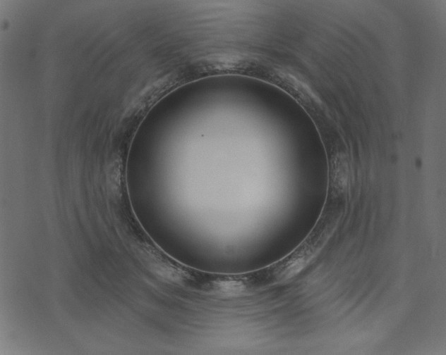 X0000073870509200608171011