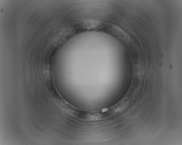 X0000073870510200608171011