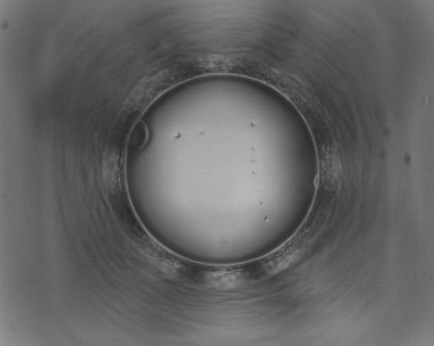 X0000073870511200608171011