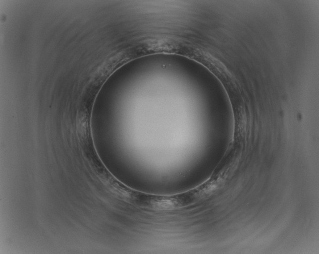 X0000073870513200608171011