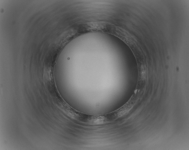 X0000073870514200608171011