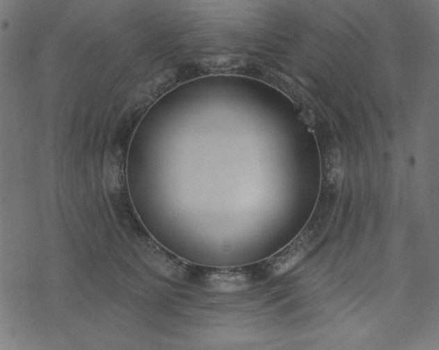 X0000073870515200608171011