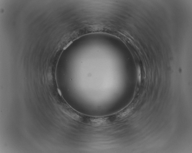 X0000073870516200608171011