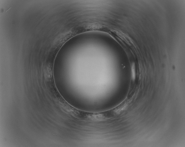 X0000073870517200608171011