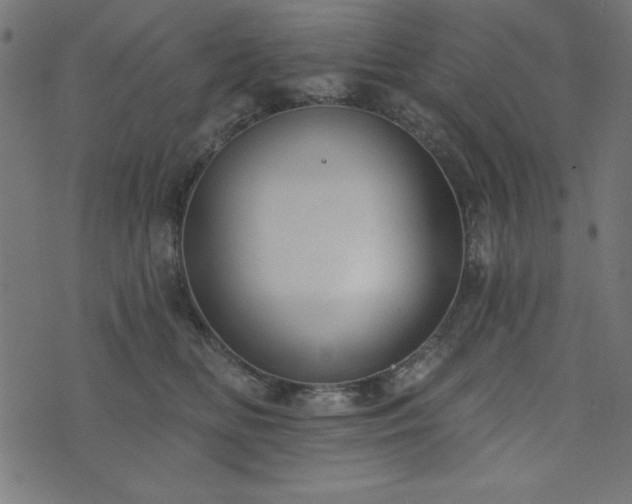 X0000073870518200608171011