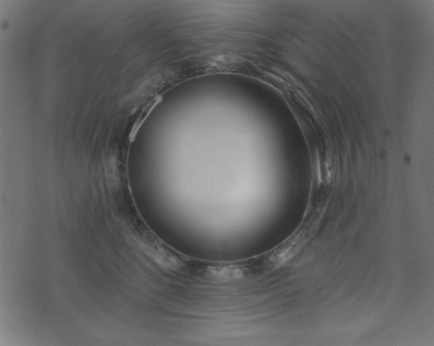 X0000073870520200608171011