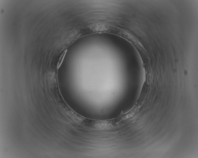 X0000073870521200608171011