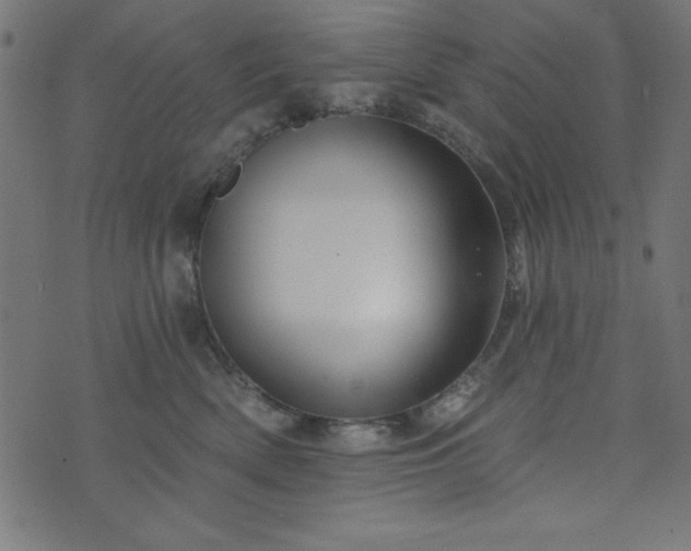 X0000073870522200608171011