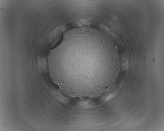 X0000073870523200608171011