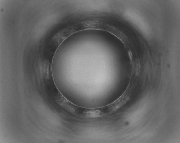 X0000073870525200608171011