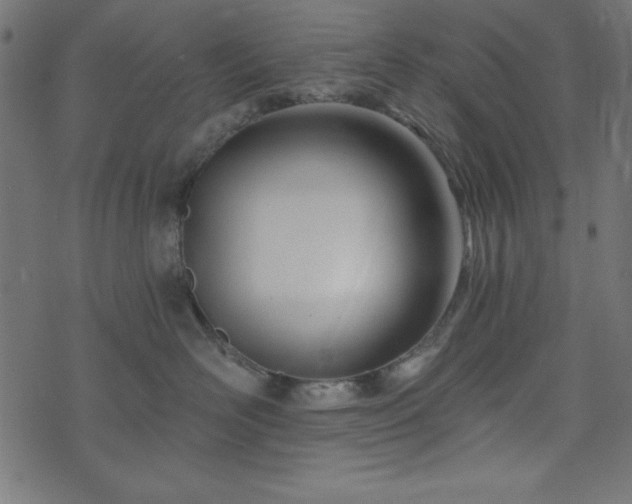 X0000073870526200608171010