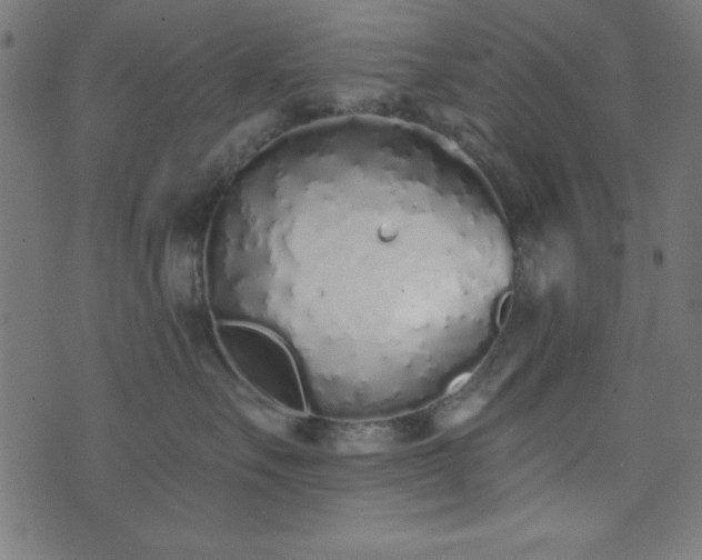 X0000073870527200608171010