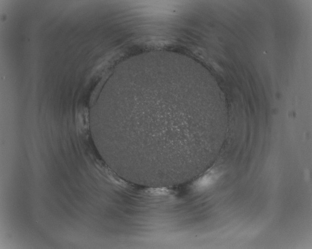 X0000073870528200608171010